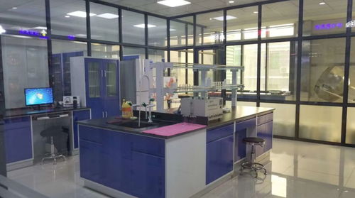 走進寵物產業(yè)基地 南和 走進伊薩工廠